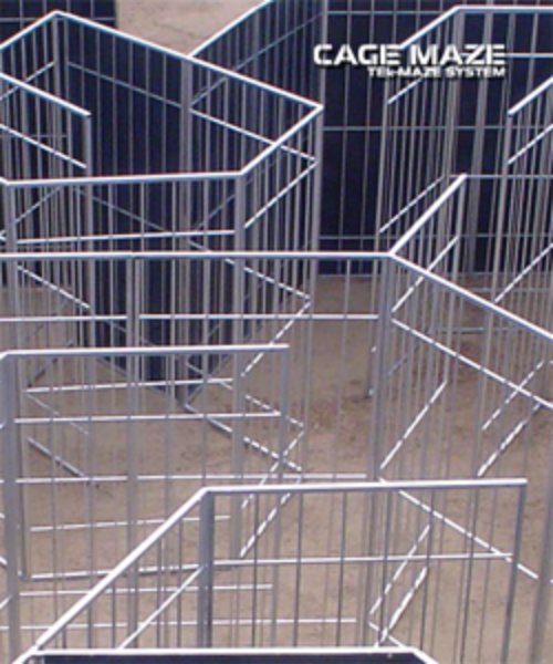 Cage-maze-1-250x300
