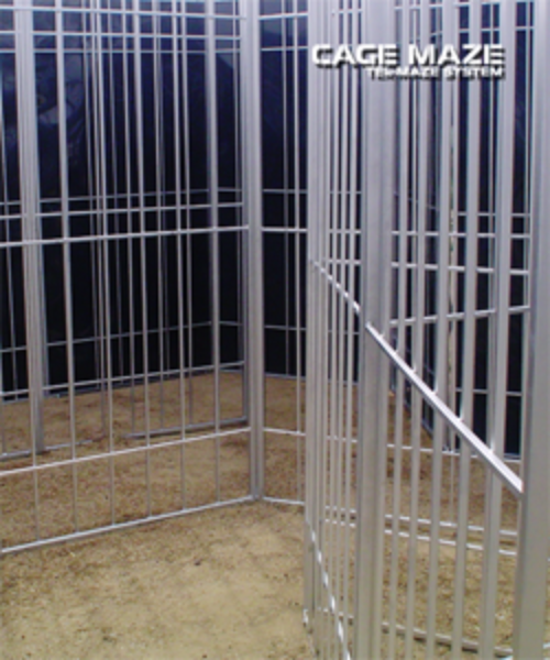 Cage-maze-3-250x300